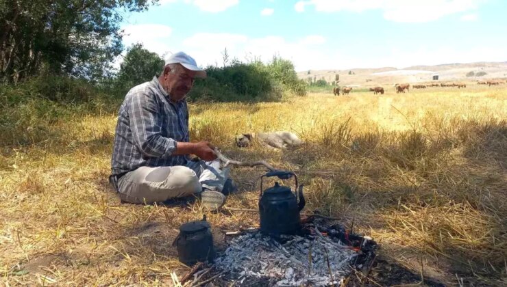 Yozgat’ta Çobanların Vazgeçilmezi: Kara Demlik Çayı